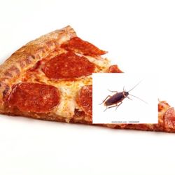 Pizza Hut - Cockroach on my pizza