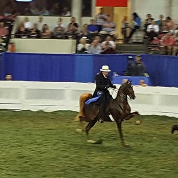 Paul Cates Stable - Bo, Craig, and Paul Cates winning at the World's Championship Horse Show 2016. - Horseback Riding Near Me - Round Rock, Texas