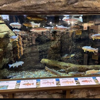 St Regis Travel Center - The trout tank - Convenience Stores Near Me - Saint Regis, Montana St Regis Travel Center - The trout tank - Convenience Stores Near Me - Saint Regis, Montana