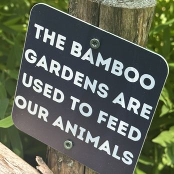 Mill Mountain Zoo - Sign in zoo - Zoos Near Me - Roanoke, Virginia Mill Mountain Zoo - Sign in zoo - Zoos Near Me - Roanoke, Virginia
