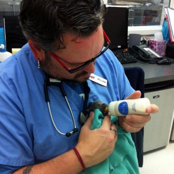 PETS Referral Center - Our nurse, William, providing care to a kitten. - Veterinarians Near Me - Berkeley, California PETS Referral Center - Our nurse, William, providing care to a kitten. - Veterinarians Near Me - Berkeley, California