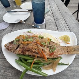 Whole Snapper Whole Snapper