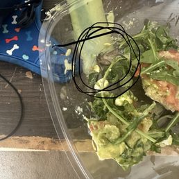 Bug in my food. Bug in my food.