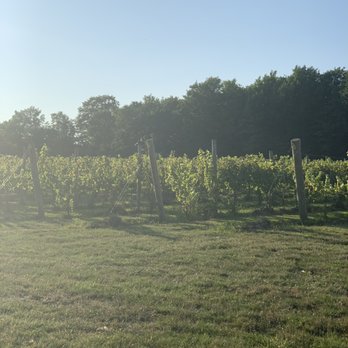 Colloca Estate Winery - Wineries Near Me - Sterling, New York Colloca Estate Winery - Wineries Near Me - Sterling, New York
