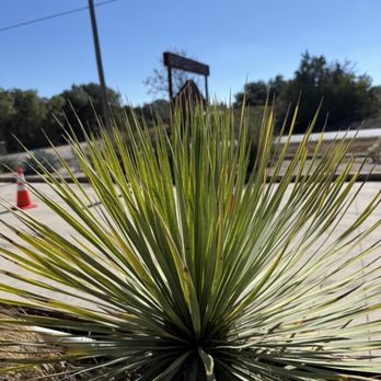 Desert Door - Sotol plant - Distilleries Near Me - Driftwood, Texas