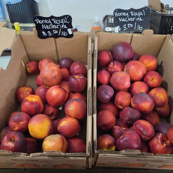 Gunkel Orchards & Fruit Stand - Fruits & Veggies Near Me - Goldendale, Washington Gunkel Orchards & Fruit Stand - Fruits & Veggies Near Me - Goldendale, Washington