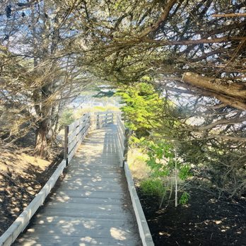 Moonstone Beach - Beaches Near Me - Cambria, California