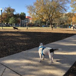 Madison Square Dog Park - Large fenced-in dog park with sidewalk