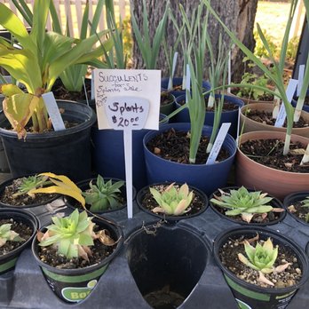 Hooverville Orchards - Fruits & Veggies Near Me - Placerville, California