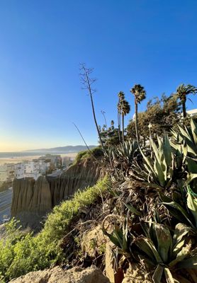 Palisades Park by null