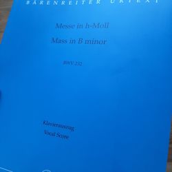 Remenyi House of Music - Bach ebullient
