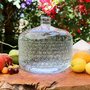 Photo of Alive Water