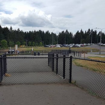 Hawk's Prairie Off Leash Dog Park - Dog Parks Near Me - Lacey, Washington Hawk's Prairie Off Leash Dog Park - Dog Parks Near Me - Lacey, Washington