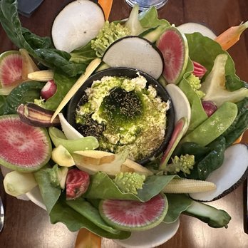 Adeline - Ricotta cheese&veggies - Cocktail Bars Near Me - Sarasota, Florida Adeline - Ricotta cheese&veggies - Cocktail Bars Near Me - Sarasota, Florida