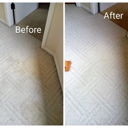 Randy's Carpet Cleaning - Urine stain removal