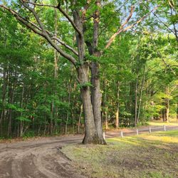 Lakeview Campground and RV
