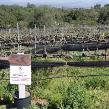 Woof'n Rose Winery and Vineyard - Woof 'n Rose Vineyard - Wineries Near Me - Ramona, California