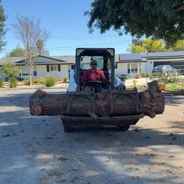 Heavy duty bobcat