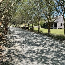 Old River Road Plantation Adventure - Whitney plantation