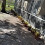 Photo of E&S Lawncare Services