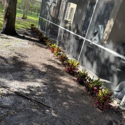 E&S Lawncare Services - Installation of 3gallons crotton, guaranteed work.