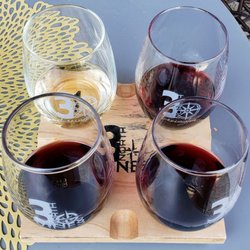 3 North Vines - Flight including Lucky Shoe, Marquette, Marquette Black and X-Marks the Spot at 3 North Vines