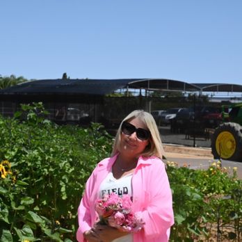 Mellano Farm Stand - Sunflowers & Tractor Rides - Farmers Market Near Me - Oceanside, California Mellano Farm Stand - Sunflowers & Tractor Rides - Farmers Market Near Me - Oceanside, California