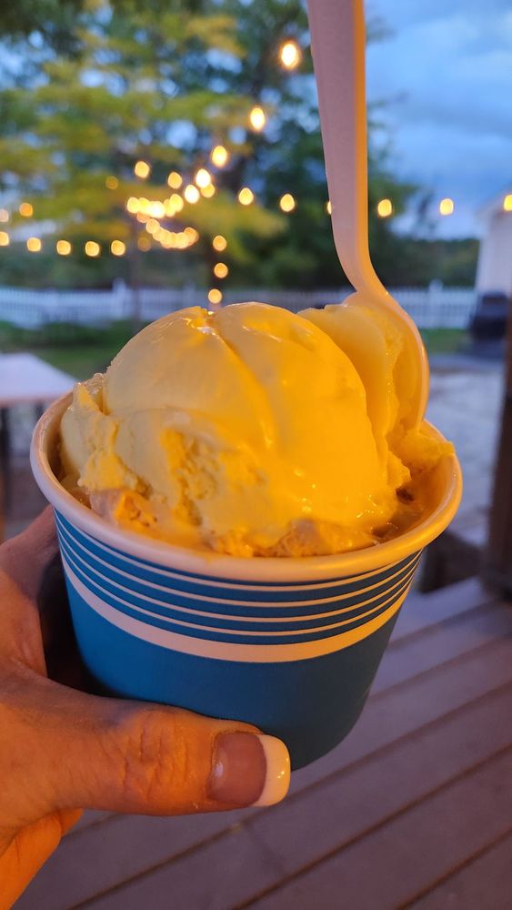 MAINELY CUSTARD 36 Photos & 64 Reviews 150 US Rt 1, Freeport, ME Yelp