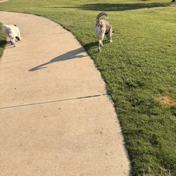 Hound Mound Dog Park