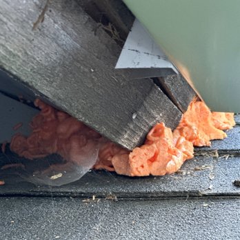 Orkin - Patch job - Pest Control Near Me - Riverside, California