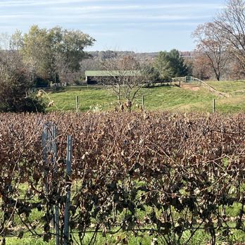 Windridge Vineyards - Wineries Near Me - Darnestown, Maryland