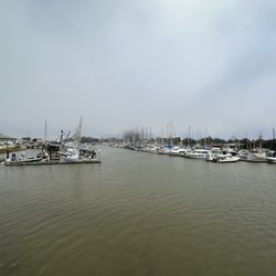 Boat Beticia - Wild Fish - The Harbor at Moss Landing. The Beticia is just visible to the right.