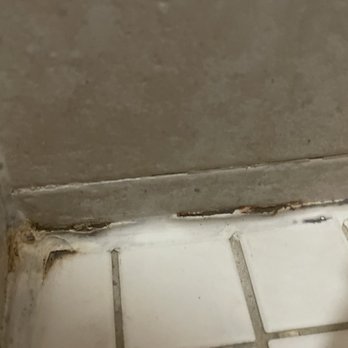 Lucciola Midtown - MOLD IN SHOWER - Apartments Near Me - Houston, Texas