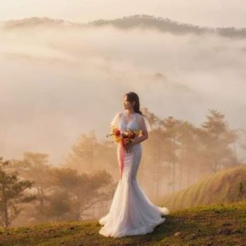 Universal Alteration and Bridal Sewing, Bridal Dry Clean - Visit Universal Alteration and Bridal Sewing for custom work on your gorgeous wedding dress. We will enhance the beauty of it! - Sewing & Alterations Near Me - Rogers, Minnesota