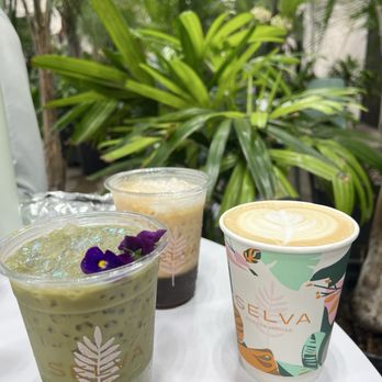 Selva Coffee House - Perfect storm, bee yourself and the blackberry mocha matcha - July 2026 - Coffee Roasteries Near Me - San Diego, California