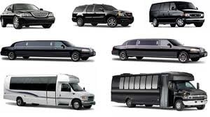 Denver Elite Limousine