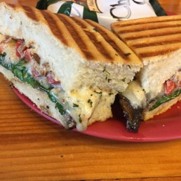 Bella Panini