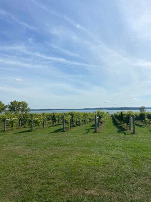 Parley Lake Winery by null