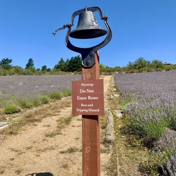 Monte-Bellaria Di California - Bell. - Farms Near Me - Sebastopol, California Monte-Bellaria Di California - Bell. - Farms Near Me - Sebastopol, California