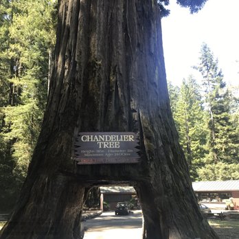 Drive-Thru Tree - Parks Near Me - Leggett, California Drive-Thru Tree - Parks Near Me - Leggett, California
