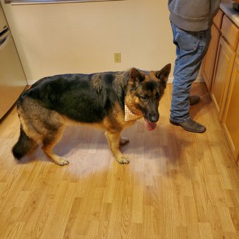 Special Care Grooming - Pet Groomers Near Me - Albuquerque, New Mexico