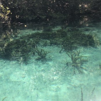 Silver Glen Springs - Parks Near Me - Salt Springs, Florida Silver Glen Springs - Parks Near Me - Salt Springs, Florida