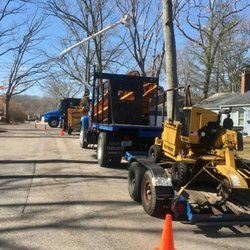 Green View Tree Service