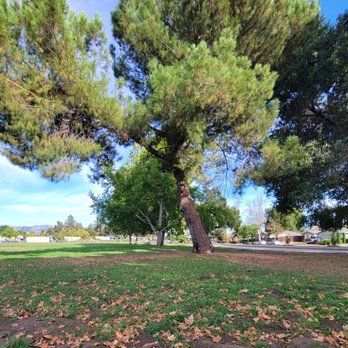 Terrell Park - Parks Near Me - San Jose, California Terrell Park - Parks Near Me - San Jose, California
