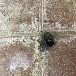 Santa Rosa Campground & RV Park - Filthy floors and wads of hair.