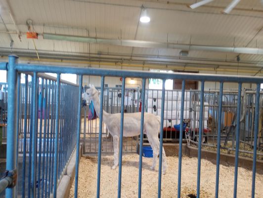 Canada Agriculture and Food Museum by null