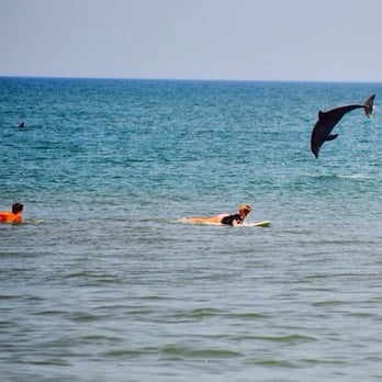 The Pit Surf Shop - Surf lesson - Sporting Goods Near Me - Kill Devil Hills, North Carolina