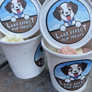 Lake Effect Artisan Ice Cream - Ice Cream & Frozen Yogurt Near Me - Buffalo, New York Lake Effect Artisan Ice Cream - Ice Cream & Frozen Yogurt Near Me - Buffalo, New York