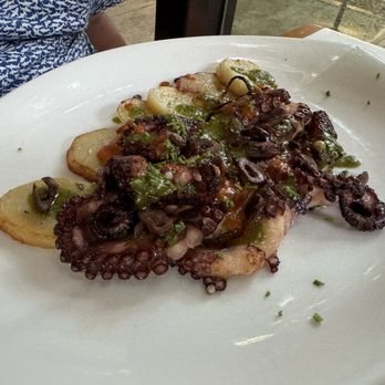Azul Madera - Octopus - Seafood Near Me - San Miguel de Cozumel, ROO Azul Madera - Octopus - Seafood Near Me - San Miguel de Cozumel, ROO