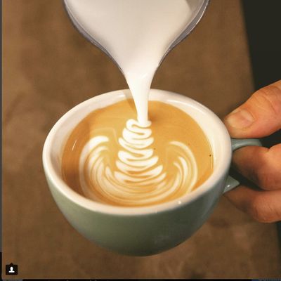 Café Piha - Coffee Shop - Torréfacteur - Boutique by null